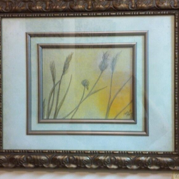 Grasses in the Sun